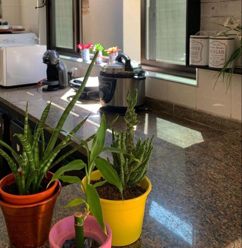 גוארויה Alma De Mare Hostel מראה חיצוני תמונה
